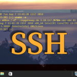 Copy SSH Key from Windows 10/11 to Linux Host